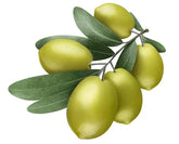 Olive Vegetable Squalane
