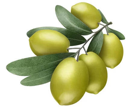 Squalane Végétal D'olive