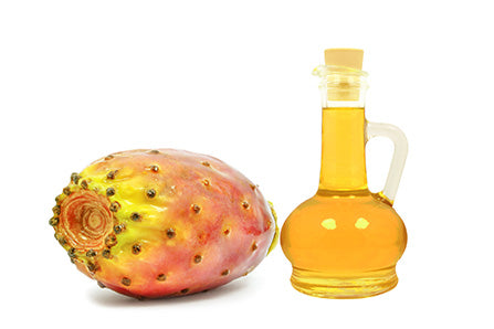 Organic Prickly Pear Oil