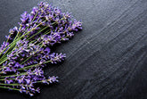 Fragrance Black Amber + Lavender