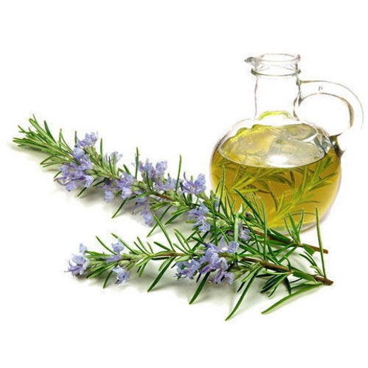 Rosemary Essential Oil (CT Cineole)